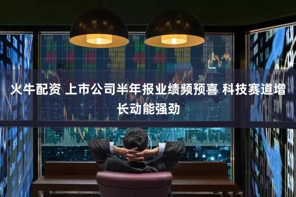 火牛配资 上市公司半年报业绩频预喜 科技赛道增长动能强劲