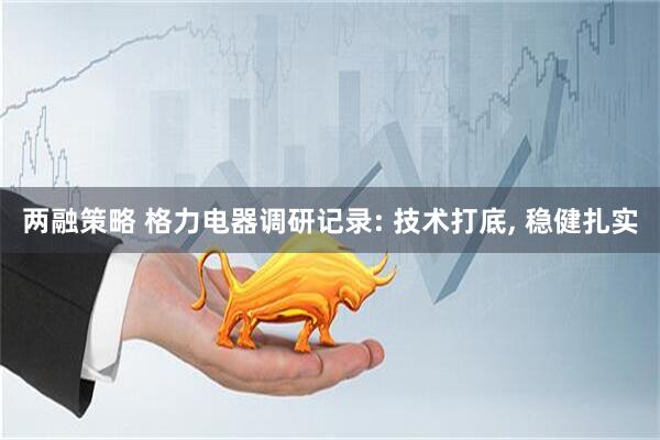 两融策略 格力电器调研记录: 技术打底, 稳健扎实