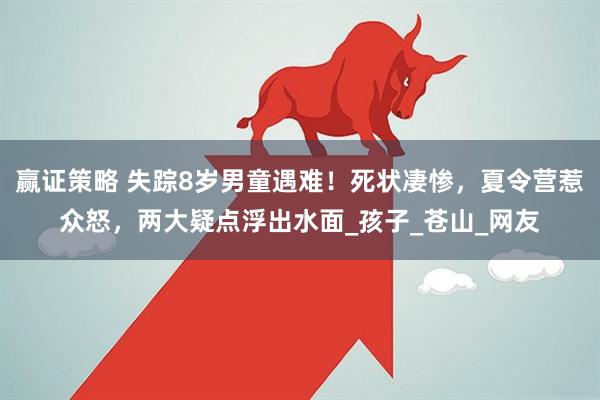 赢证策略 失踪8岁男童遇难！死状凄惨，夏令营惹众怒，两大疑点浮出水面_孩子_苍山_网友