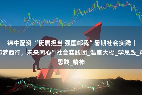 锦牛配资 “挺膺担当 强国邮我”暑期社会实践｜“邮梦西行，未来同心”社会实践团_温室大棚_学思践_精神