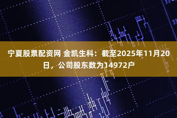 宁夏股票配资网 金凯生科：截至2025年11月20日，公司股东数为14972户