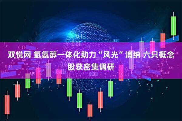 双悦网 氢氨醇一体化助力“风光”消纳 六只概念股获密集调研